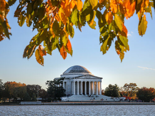 autumn leaves at Jefferson Memorial and Tidal Basin, Washington, DC