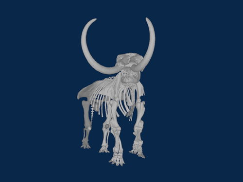 screenshot of 3D visual of mastodon skeleton