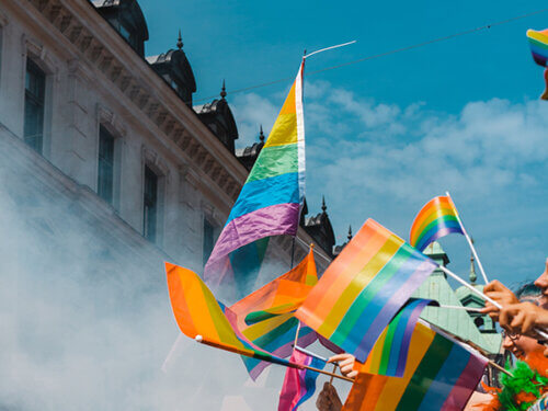 photo of a crowd of LGBTQIA+ pride flags waving