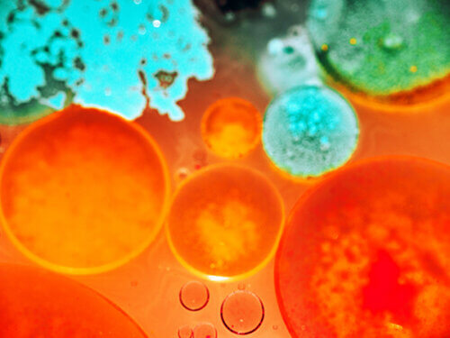 abstract image resembling petri dish contents